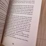 Jacqueline Wilson - Paws and Whiskers Image 3