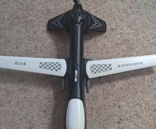 Dragon wing plane with voice box
