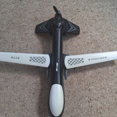 Dragon wing plane with voice box