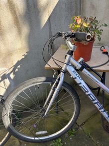 Silver Bike