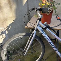 Silver Bike