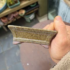 bonsai pot