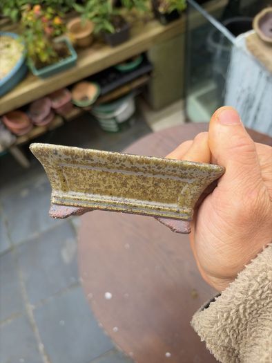 bonsai pot