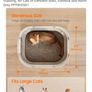 Premium Cat Litter Box Image 5