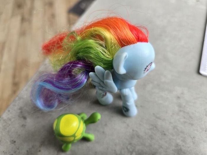 Articulated Joints Rainbow Dash with Pet Turtle Tortoise MLP G4 My Little Pony