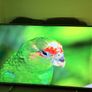 smart tv Image 4