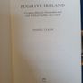 Fugitive Ireland - Daniel Leach Image 5