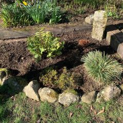 Gardening