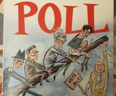 Up The Poll: Great Irish Election Stories by Shane Coleman