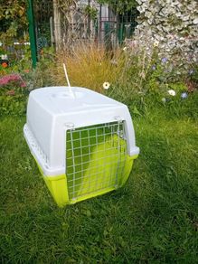 large cat small dog carrier
