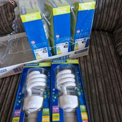 Light bulbs