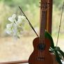Ukulele with Free Tuner and Case Image 5