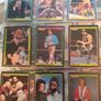 WWF Merlin Trading Cards full set of 96 Image 9