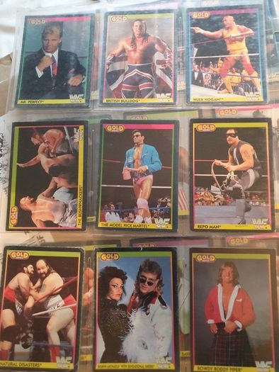 WWF Merlin Trading Cards full set of 96