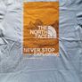 The North Face t-shirt Image 2