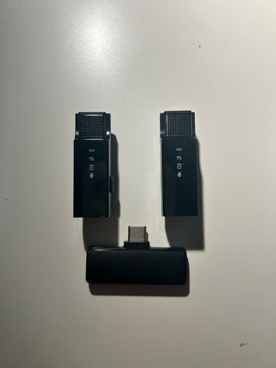 Green Lion 2-in-1 Wireless Microphone