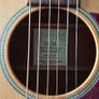 Martin DCM Acoustic (Made in USA) Image 2