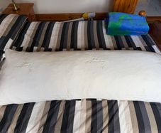 Bolster Memory Foam Pillow