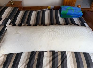 Bolster Memory Foam Pillow