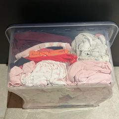 Baby Girls Clothes Bundle 18-24 months