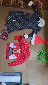 Assortment of Fancy Dress,