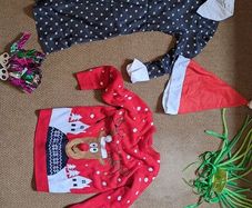 Assortment of Fancy Dress,