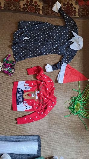 Assortment of Fancy Dress,