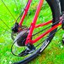 mtb Image 6