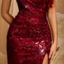 Stunning Burgundy Evening Gown Brand New with Tags Image 6