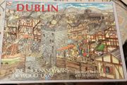 Dublin: One Thousand Years Of Wood Quay by Jonathan Bardon and Stephen Conlin