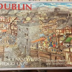 Dublin: One Thousand Years Of Wood Quay by Jonathan Bardon and Stephen Conlin