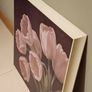 Picture of tulips Image 5