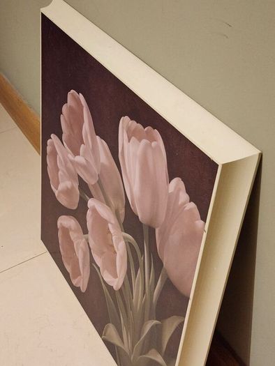 Picture of tulips