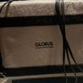 Globus magnetic treatment Image 5