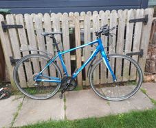 Giant ladies bike