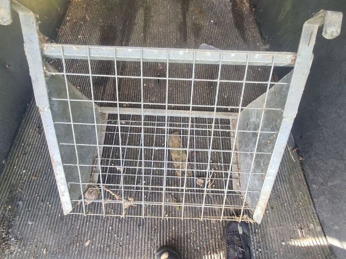 JFC JFC 10 Teat Gate Feeder Trough & Hay Racks