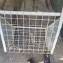 JFC JFC 10 Teat Gate Feeder Trough & Hay Racks Image 3