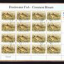 2001 Ireland Freshwater Fish (Perch, Arctic Charr, Pike & Bream) Commemorative Stamp Sheetlet Plate 1A1A1A1A Fine Used with Dublin CDS cancel of 9th October 2001 (First day of issue) on envelope extract Image 4