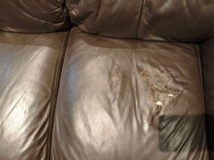 couch