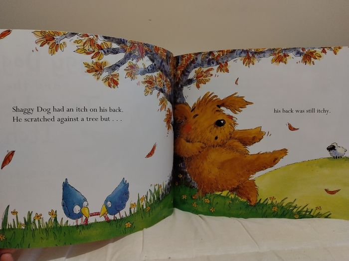 Shaggy Dog and the Terrible Itch Book & CD set by David Bedford