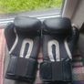 Everlast 16oz Boxing Gloves Image 2