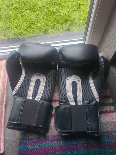 Everlast 16oz Boxing Gloves