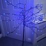 Tree...reduced To Image 5