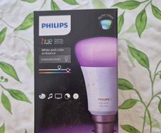 phillips hue b22 bulb