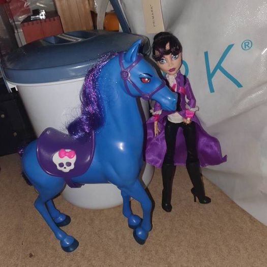 Monster high dolls plays etc and accessories
