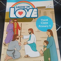 primary school books