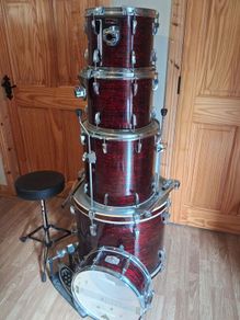 Pearl EXR