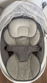 Baby Swing EvoSmart