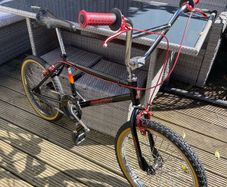 Raleigh Burner