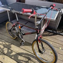 Raleigh Burner